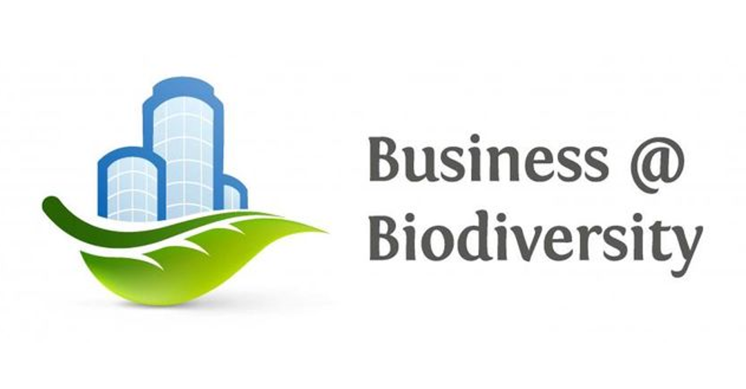 Plateformes européennes pour les entreprises et la biodiversité – Échanges d’expériences 