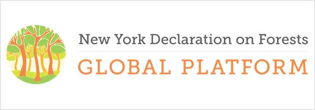 New York Declaration on Forests