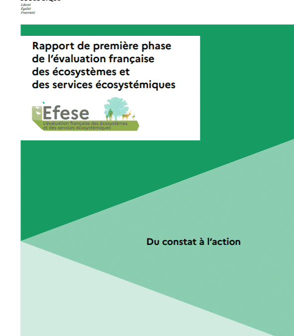 MINISTÈRE DE LA TRANSITION ÉCOLOGIQUE (2020), “Rapport de première phase de l’évaluation française des écosystèmes et des services écosystémiques”