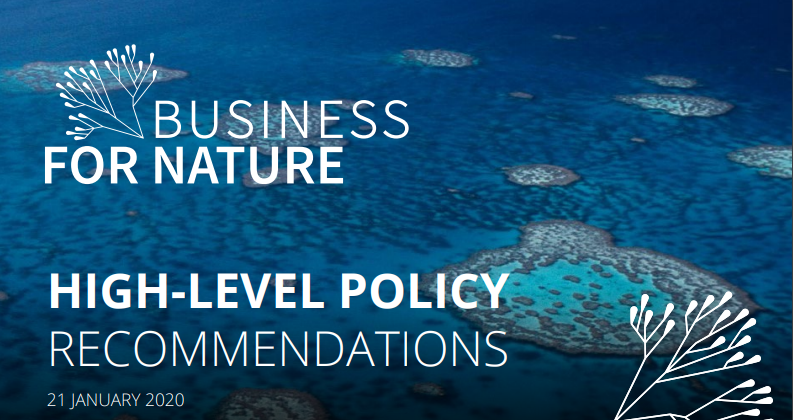 Business for Nature : Recommandations aux dirigeants politiques pour favoriser l’action des entreprises