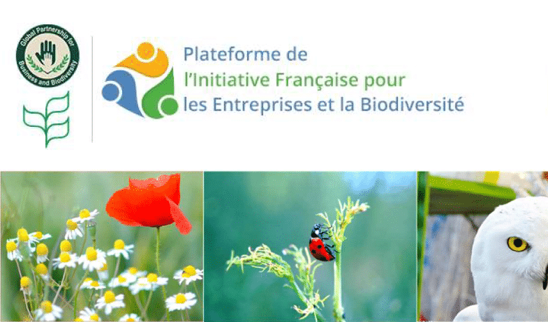Actualités 2020/2021 de la Plateforme de l’Initiative Française pour les Entreprises et la Biodiversité