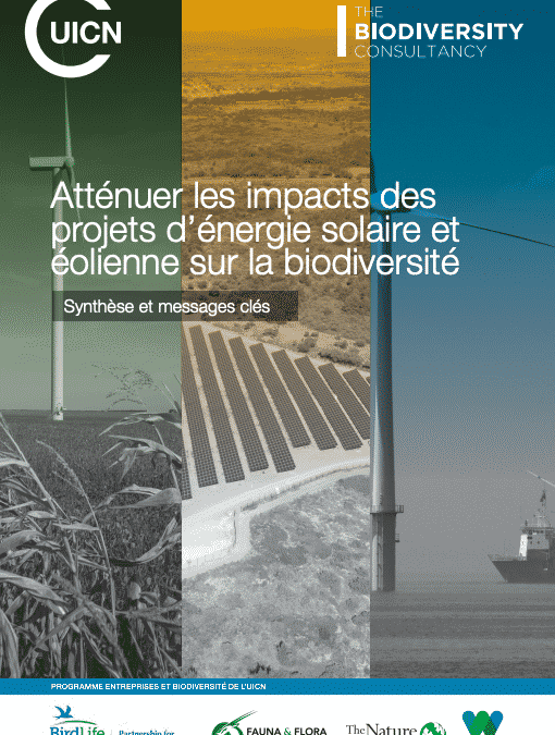 UICN (2021) – “Atténuer les impacts des projets d’énergie solaire et éolienne sur la biodiversité”