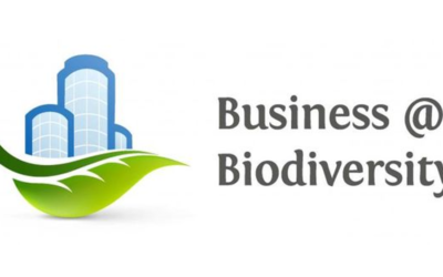 Plateformes européennes pour les entreprises et la biodiversité – Échanges d’expériences 